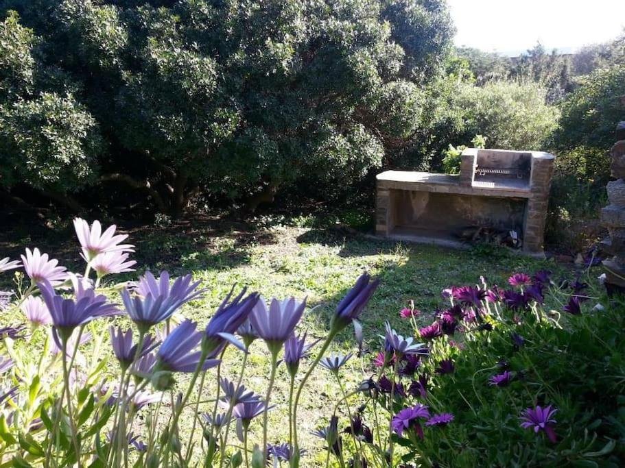 Appartement L' Elicriso, A Pochi Passi Dal Mare Con Giardino Privato - The Elicriso, A Few Meters From The Sea, With Private Garden à Stintino Extérieur photo