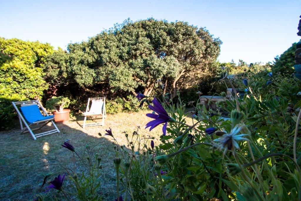 Appartement L' Elicriso, A Pochi Passi Dal Mare Con Giardino Privato - The Elicriso, A Few Meters From The Sea, With Private Garden à Stintino Extérieur photo