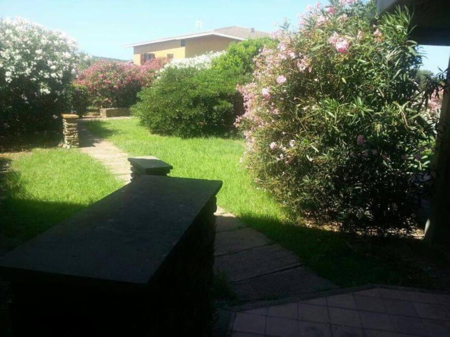 Appartement L' Elicriso, A Pochi Passi Dal Mare Con Giardino Privato - The Elicriso, A Few Meters From The Sea, With Private Garden à Stintino Extérieur photo