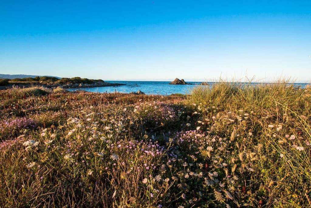 Appartement L' Elicriso, A Pochi Passi Dal Mare Con Giardino Privato - The Elicriso, A Few Meters From The Sea, With Private Garden à Stintino Extérieur photo