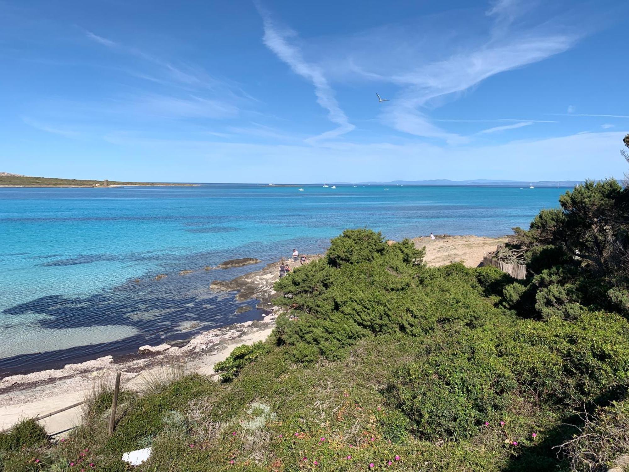 Appartement L' Elicriso, A Pochi Passi Dal Mare Con Giardino Privato - The Elicriso, A Few Meters From The Sea, With Private Garden à Stintino Extérieur photo