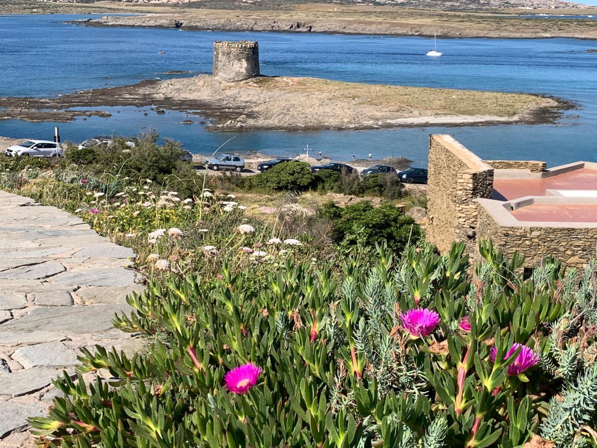 Appartement L' Elicriso, A Pochi Passi Dal Mare Con Giardino Privato - The Elicriso, A Few Meters From The Sea, With Private Garden à Stintino Extérieur photo